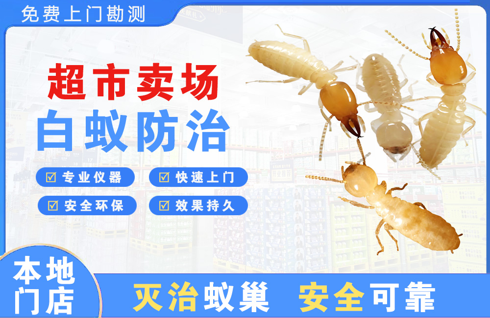东莞超市卖场白蚁防治