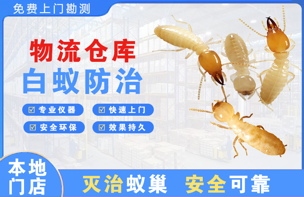 东莞物流仓库白蚁防治