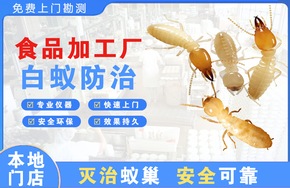 东莞食品加工厂白蚁防治