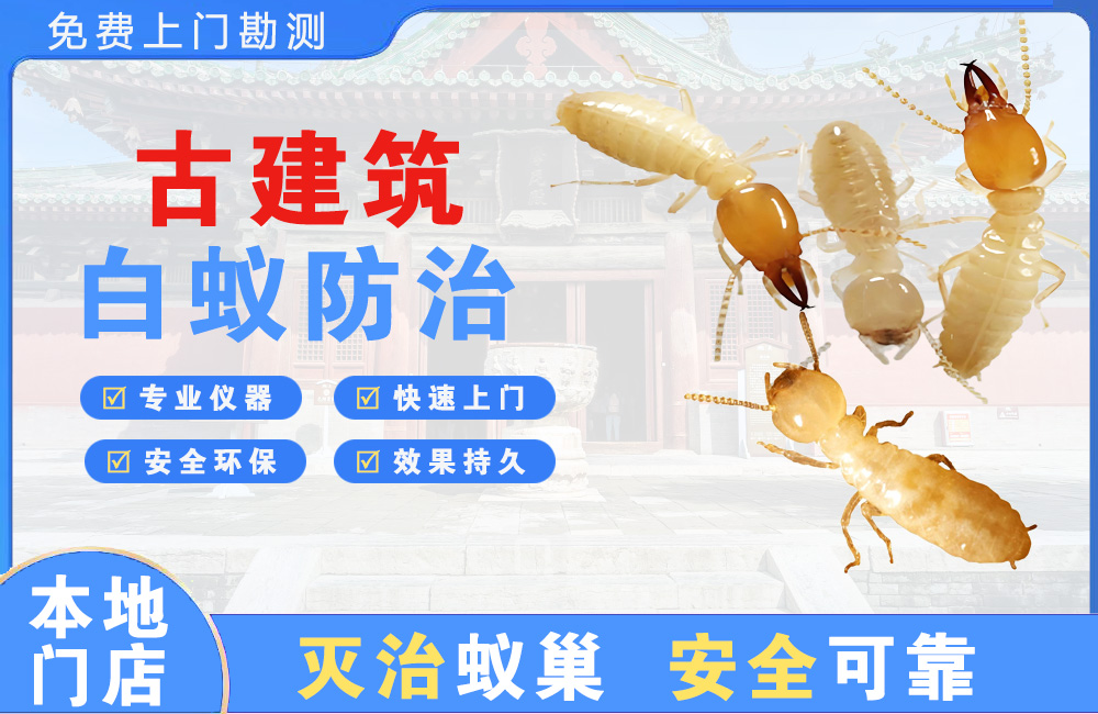 东莞古建筑白蚁防治