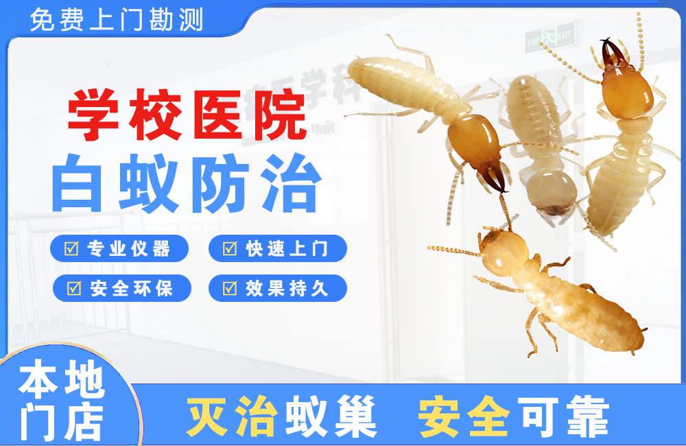 东莞学校医院白蚁防治