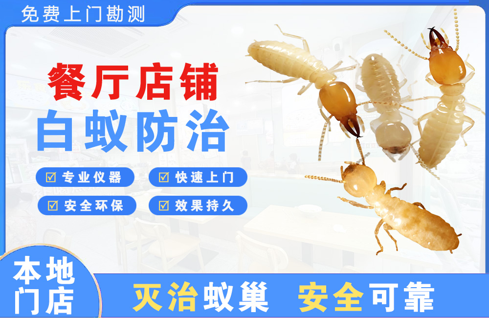 东莞餐厅店铺白蚁防治